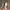 https://res.cloudinary.com/billionhands/image/upload/v1781865446/items/rvfj9ij7hkvoohjjxnfj.png-0cover