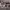 https://res.cloudinary.com/billionhands/image/upload/v1781866908/items/ssy4yiqa3ya5gmrodhek.jpg-3cover
