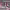 https://res.cloudinary.com/billionhands/image/upload/v1781868240/items/ilrlbpy7bndvmbscagya.jpg-2cover