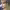 https://res.cloudinary.com/billionhands/image/upload/v1781870244/items/qemrpsl0l4ieg9byofdb.avif-0cover