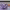 https://res.cloudinary.com/billionhands/image/upload/v1781871036/items/cdodjdmjmmhixfqde3ew.webp-1cover