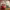 https://res.cloudinary.com/billionhands/image/upload/v1781871553/items/uebdx0cydss16gws03h2.webp-2cover