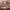 https://res.cloudinary.com/billionhands/image/upload/v1781872137/items/bzz9h2ddsh92ent6m9vo.jpg-3cover