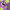 https://res.cloudinary.com/billionhands/image/upload/v1781872227/items/mwxo6yxuqcwqb7joiz0q.jpg-0cover