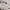 https://res.cloudinary.com/billionhands/image/upload/v1781873193/items/glau7yqrok0nlyogwsov.avif-2cover