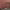 https://res.cloudinary.com/billionhands/image/upload/v1781875057/items/fto2tup1sru3m9n0pqri.avif-2cover