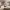 https://res.cloudinary.com/billionhands/image/upload/v1781875058/items/tzfkbbavkdwcetwke0fb.webp-1cover