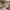 https://res.cloudinary.com/billionhands/image/upload/v1781875069/items/txik3xelrfb0mklanvnb.webp-3cover