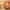 https://res.cloudinary.com/billionhands/image/upload/v1781875096/items/y8jsil1gjcjshe01nljc.webp-0cover