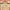 https://res.cloudinary.com/billionhands/image/upload/v1781881599/items/xcvga5lalpyru3u82mbj.jpg-2cover