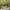 https://res.cloudinary.com/billionhands/image/upload/v1781881662/items/c349opyok2bnyujzrn7a.webp-1cover