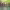 https://res.cloudinary.com/billionhands/image/upload/v1781881663/items/cdjoti9ufcsyb1ibxtmc.webp-2cover
