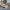 https://res.cloudinary.com/billionhands/image/upload/v1781881669/items/iw0bwkgzuonips2dl9wr.webp-0cover