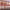 https://res.cloudinary.com/billionhands/image/upload/v1781882636/items/ngiudyria8seqymt8rfi.webp-0cover