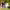 https://res.cloudinary.com/billionhands/image/upload/v1781883438/items/jztzikasjdmphkwnsmfq.jpg-2cover