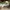 https://res.cloudinary.com/billionhands/image/upload/v1781886274/items/wlviauopy6ux40h1jgvy.jpg-0cover