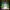 https://res.cloudinary.com/billionhands/image/upload/v1781888550/items/tpyvkrnxaqf9m0qeckle.jpg-0cover