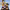 https://res.cloudinary.com/billionhands/image/upload/v1781889406/items/fcahv3sbhvx4gfs3jzsf.jpg-0cover