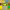https://res.cloudinary.com/billionhands/image/upload/v1781890510/items/u2gl14g37cdn3pitk6bf.png-0cover