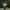 https://res.cloudinary.com/billionhands/image/upload/v1781892403/items/mksfly1s5z0f7glrwjid.jpg-3cover