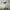 https://res.cloudinary.com/billionhands/image/upload/v1781892992/items/zgkfk6yuk8tlidk6ua9j.jpg-2cover