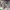 https://res.cloudinary.com/billionhands/image/upload/v1781893767/items/i4jftvgwoan09dbxhqu4.jpg-3cover