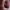 https://res.cloudinary.com/billionhands/image/upload/v1781894018/items/nxre0fc7rpfbhz3lcfex.webp-0cover