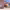 https://res.cloudinary.com/billionhands/image/upload/v1781895586/items/ianu76zpfxtdvtghrueu.jpg-3cover