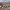 https://res.cloudinary.com/billionhands/image/upload/v1781895589/items/tcantprlnk7ejoimijbc.webp-1cover