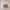 https://res.cloudinary.com/billionhands/image/upload/v1781895593/items/fpuuhk6s9r46yfdl81mn.webp-0cover