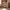 https://res.cloudinary.com/billionhands/image/upload/v1781895594/items/uc3ozekkjwngytei3qx7.jpg-0cover