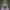 Shion cover