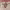 https://res.cloudinary.com/billionhands/image/upload/v1781898865/items/wkonbhywv29c4qyogvct.webp-3cover