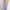 Vestido de fiesta morado (Tendencia 2026) cover