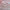 https://res.cloudinary.com/billionhands/image/upload/v1781900478/items/jqpyxs7tqnwgfhp1dhjt.avif-1cover