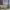 https://res.cloudinary.com/billionhands/image/upload/v1781900857/items/frgnjvc9s2mld2ir2l0f.jpg-3cover