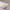 https://res.cloudinary.com/billionhands/image/upload/v1781900862/items/lht6lcl1f4hwhk0bxyvf.jpg-1cover