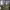 https://res.cloudinary.com/billionhands/image/upload/v1781902788/items/qbwavw6xpdmjezda1mta.jpg-3cover