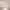https://res.cloudinary.com/billionhands/image/upload/v1781903270/items/cpdaffjjaojrdwm0gkeb.png-1cover