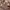 https://res.cloudinary.com/billionhands/image/upload/v1781903903/items/eaffula5thhjxr5jbryg.webp-2cover