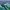 Palmyra Atoll cover