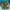 https://res.cloudinary.com/billionhands/image/upload/v1781904160/items/igffskzycucm0auhzumv.webp-3cover