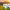 https://res.cloudinary.com/billionhands/image/upload/v1781906320/items/xc1cqe9vmnalsyppzwfh.webp-2cover