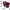 https://res.cloudinary.com/billionhands/image/upload/v1781907378/items/ogdo4vs7rbdaxwlrlrhm.webp-1cover