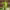 https://res.cloudinary.com/billionhands/image/upload/v1781909752/items/dqku6bzzkkdzyohhmlez.webp-0cover
