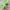 https://res.cloudinary.com/billionhands/image/upload/v1781909753/items/dy2a5fwngwbuwqcfvty3.jpg-1cover