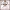https://res.cloudinary.com/billionhands/image/upload/v1781910393/items/dgitf5vhyectaulknggh.png-0cover