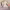 https://res.cloudinary.com/billionhands/image/upload/v1781911046/items/ktvaxgap0cifftprhmrh.webp-0cover