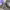 https://res.cloudinary.com/billionhands/image/upload/v1781911079/items/bviv5x2awfs5g9chiu1h.webp-2cover
