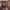 https://res.cloudinary.com/billionhands/image/upload/v1781911431/items/ld3vpdwom5wku2czllqs.jpg-0cover